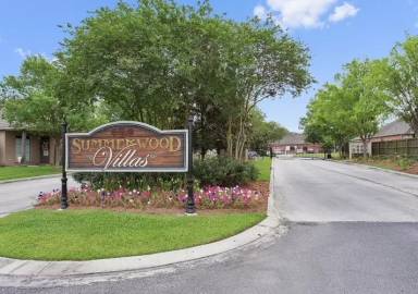 Main picture of The Arts Apartments at Bluebonnet Place