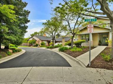 Main picture of 12 Yew Ct