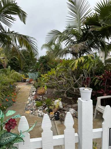 Main picture of 501 San Luis Rey Dr