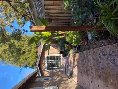 Main picture of 347 San Carlos Ave