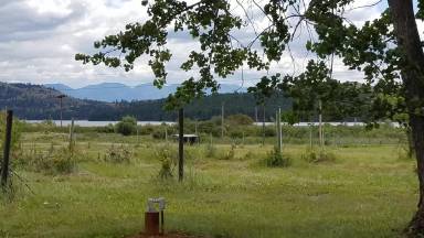 Main picture of 43799 Pinot Noir Loop