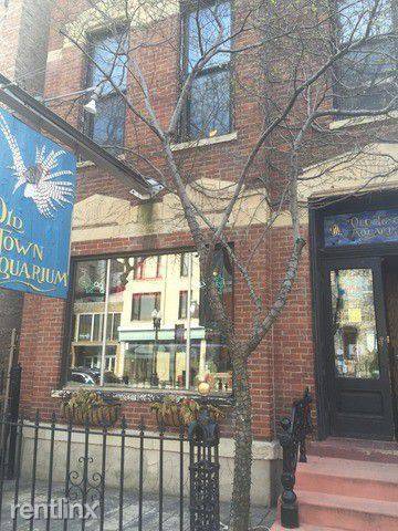 Main picture of 1538 N Wells St