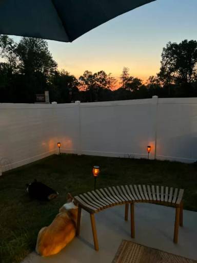 Main picture of 114 Wethington Way