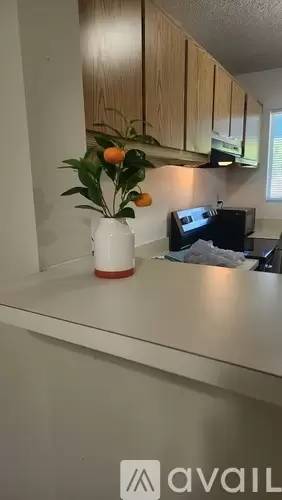 Main picture of 98442 Windward Ave