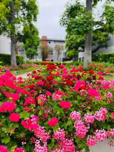 Main picture of Ely House Apartments