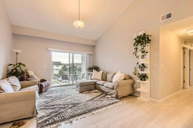 Main picture of Savannah