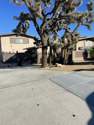 Main picture of 7393 Condalia Ave