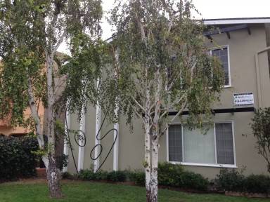 Main picture of 3610 W Chandler Blvd