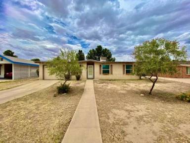 Main picture of 317 Egret Way