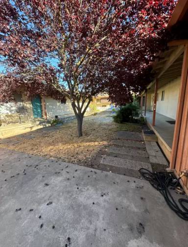 Main picture of 1560 Telegraph Ave