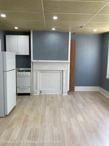 Main picture of 205 Perry St