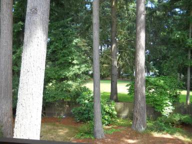Main picture of 3801 Bridgeport Way W