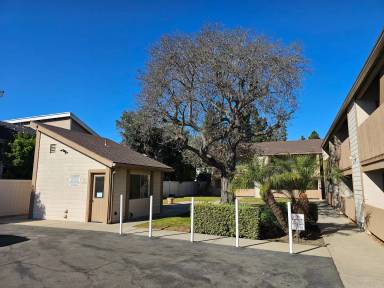 Main picture of 224 Avocado St