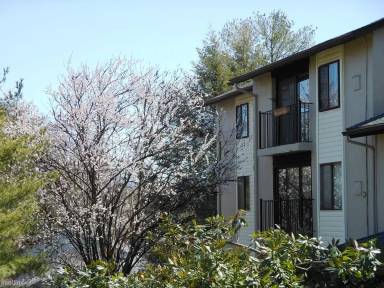 Main picture of 35 Spring Ct