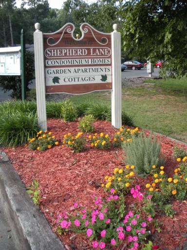 Main picture of D8 Shepherd Ln