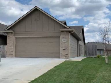 Main picture of Aster Sunflower