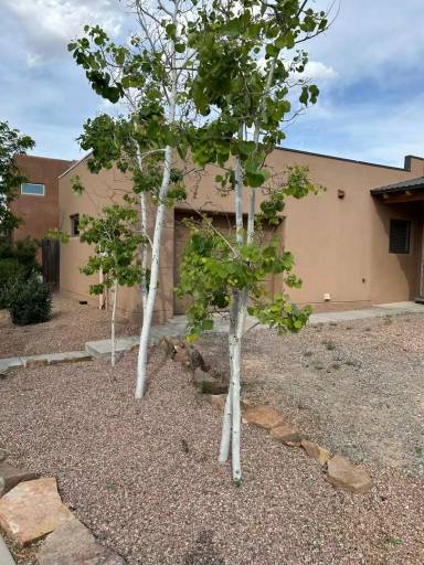 Main picture of 7603 Mesa del Oro Ln
