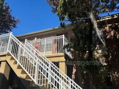 Main picture of 2517 Caper Ln