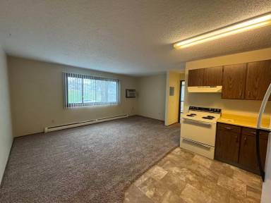 Main picture of 145 4th St SW