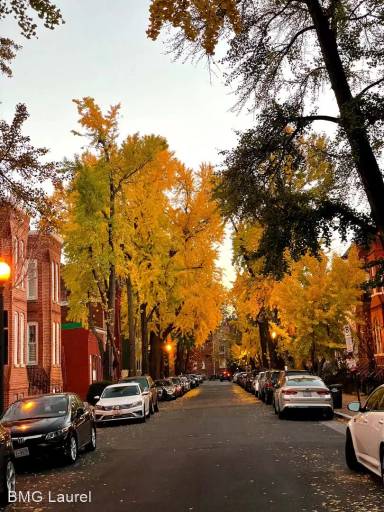 Main picture of 7 Logan Circle NW - 42