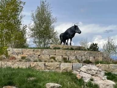 Main picture of 478 Black Bull Trl