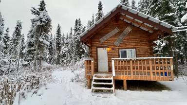 Main picture of Toga Cabins