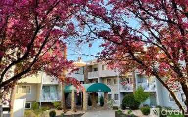 Main picture of Black Forest Condominiums