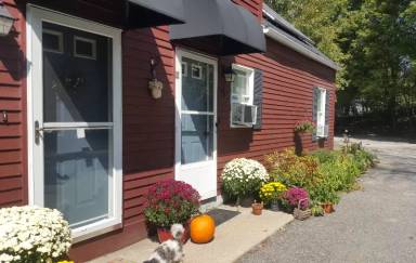 Main picture of 3 Cook St