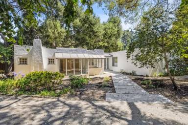 Main picture of 62 Palmer Ln