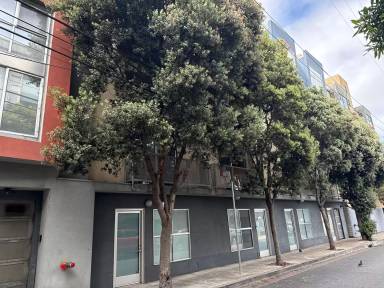 Main picture of 250 Clara St