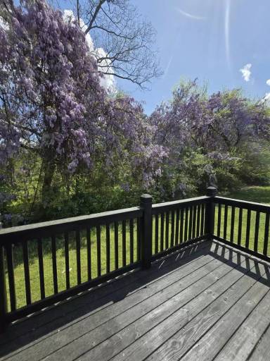 Main picture of 23 Laney Ln