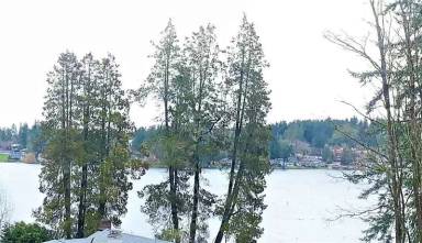 Main picture of 1052 Kitsap Lake Rd NW