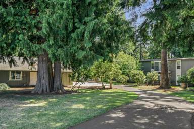 Main picture of Cedar Lane Apartments