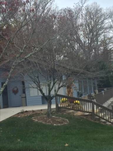 Main picture of 87 Willow Rd