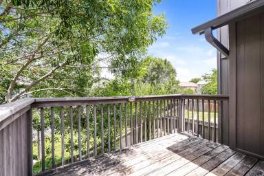 Main picture of 314 Rawhide Loop