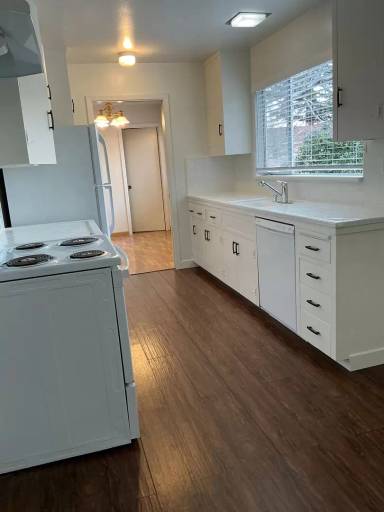 Main picture of Live Oak 837