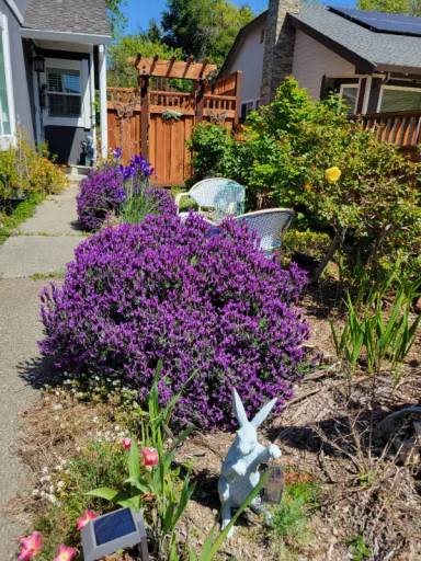 Main picture of 2436 Shoreline Dr