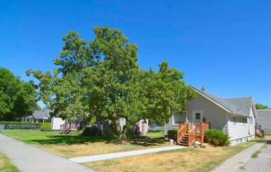 Main picture of 518 N Black Ave