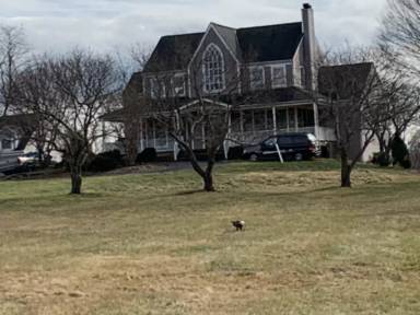 Main picture of 8914 Watkins Rd