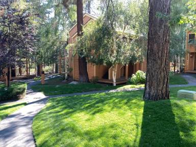 Main picture of McCloud Condos