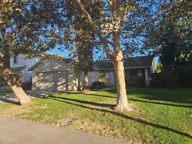 Main picture of 1001 Marin Ave
