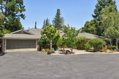 Main picture of 960 Palo Alto Ave