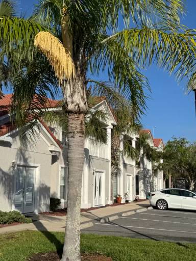 Main picture of 100 Palm Harbor Pkwy
