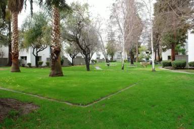 Main picture of Mission Grove