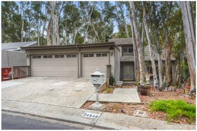 Main picture of 24946 Ravenswood