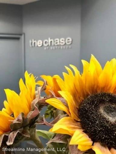 Main picture of Chase At Bethesda