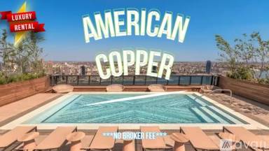Main picture of American Copper