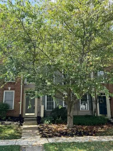 Main picture of 203 Altair Way