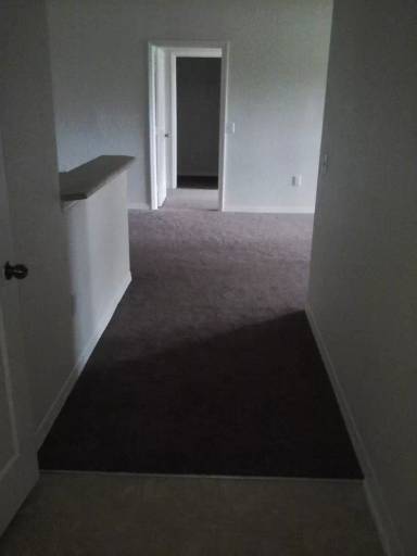 Main picture of 1013 Hemingway Cir