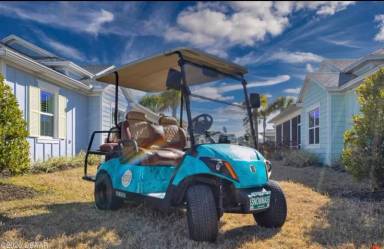 Main picture of 533 Margaritaville Ave